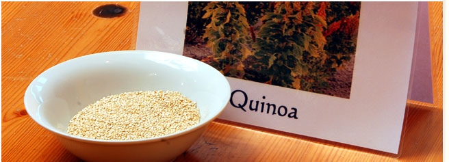 Quinoa